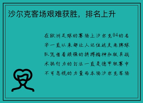 沙尔克客场艰难获胜，排名上升