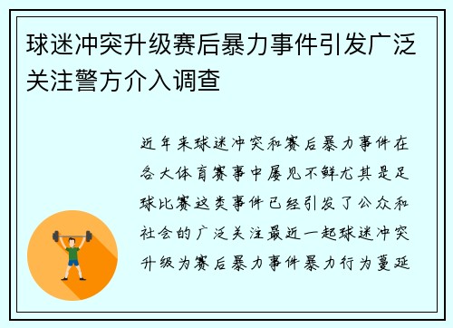 球迷冲突升级赛后暴力事件引发广泛关注警方介入调查