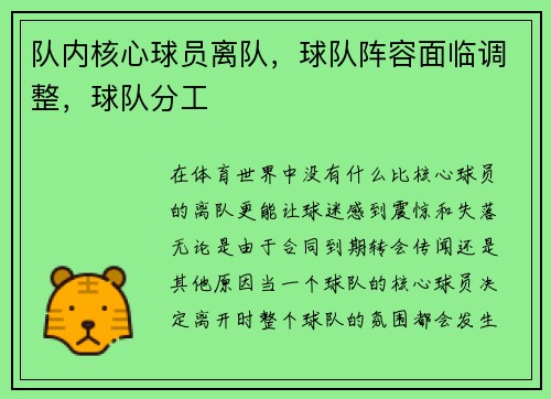 队内核心球员离队，球队阵容面临调整，球队分工